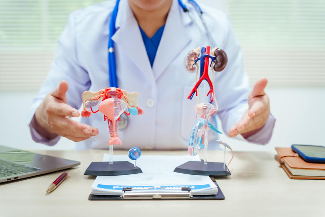avanguardia poliambulatorio_urologia_apparati femminile e maschile